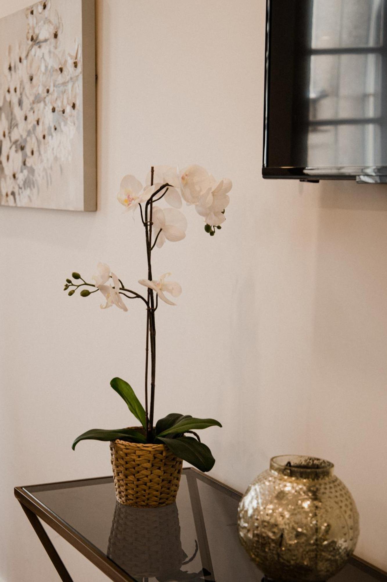Bruval Premium Apartments - Se Porto Kültér fotó